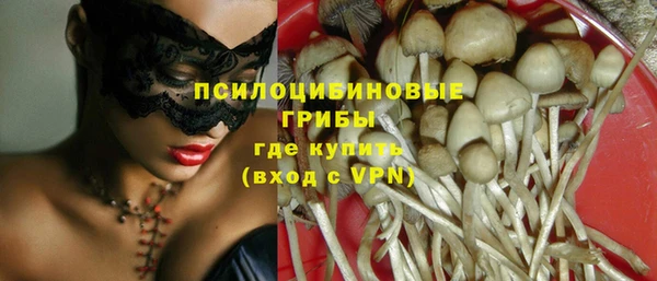ECSTASY Аркадак
